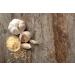 Tasty Pott Organic Smoked Garlic Granules - 100g Beech Smoke Seasoning - Flavorful Spice Jar for Cooking - Buy Online on SooperMarket.com