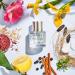 Lake & Skye Echo Lake Eau De Parfum Spray - Unisex Fragrance Collection (1.7 oz 50 ml) - Floral and Woody 1.7 Fl Oz (Pack of 1) - Buy Online on SooperMarket.com