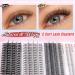 PHKERATA Individual Eyelashes DIY Extension Kit with Bond, Seal, and Tweezers | Wispy Cluster Lashes | 20D Bottom Wispy Mix Kit - Buy Online on SooperMarket.com