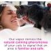 Comfort Zone Cat Calming Diffuser Refill | Veterinarian Recommended | Reduce Spraying & Scratching | Calm Home Solution | 48ml-2 Pack - Buy Online on SooperMarket.com