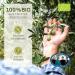 Buy MANI Premium Organic Extra Virgin Olive Oil - Award-Winning 3L from Greece - Buy Online on SooperMarket.com