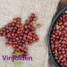 Rosehips Whole 250g by Virgolden - Buy Online on SooperMarket.com
