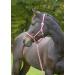 Kerbl Nylon Halter for Hippo Pony & Shetty - Full Cob & XFull Sizes in 6 Colors Including 3 Reds | Durable & Adjustable - Buy Online on SooperMarket.com