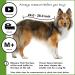 Buy Suitical Recovery Suit for Dogs - M+ Size in Black | Ideal Post-Surgery Pet Wear - International Shipping Available - Buy Online on SooperMarket.com