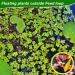 Peutier 5stk Floating Plant Rings for Aquariums - Round Planting Corrals in 5 Sizes - Yellow Fish Feeding Rings Hold Floating Plants in Place - Buy Online on SooperMarket.com
