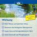 S ll 80381 Dr. Roth's Pond Clear - Microbiological Pond Cleaning & Algae Control 1kg for 20 000 Liters | Eco-Friendly Water Treatment - Buy Online on SooperMarket.com