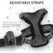 SOKANA Cat Harness and Lead Set for Walking Escape Proof - Lightweight Secure Kitten Harness and Lead Set also for Dogs Puppy Pet Small Size | Black - Buy Online on SooperMarket.com