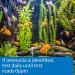 API Test Strips  for Variety of Water Parameters  Monitor Aquarium Water Quality and Help Prevent Invisible Water Problems That can be Harmful to Fish  Use Weekly and When Problems Appear 25 - Count Aquarium Water Testing - Buy Online on SooperMarket.com