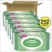 Cottonelle GentlePlus Flushable Wet Wipes with Aloe & Vitamin E - 252 Total Wipes, 6 Packs Adult Wet Wipes - Buy Online on SooperMarket.com