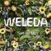 Weleda Skin Food Body Lotion - Parabens Free - 6.8 fl oz - Hydrating Body Lotion - Buy Online on SooperMarket.com