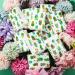 100 Pcs Succulent Cactus Pocket Tissues - Cute Travel Size for Wedding Favors - Buy Online on SooperMarket.com
