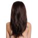 WIG ME UP RGF-6082-LF-F4/30 - Premium Long Straight Lace Front Wig with Hand-Knotted Design in Brown with Copper Highlights for Ladies - International Shipping Available - Buy Online on SooperMarket.com