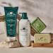 Buy Dr.Tree Moisturizing Body Balm | 99.5% Natural Ingredients | Repairs & Hydrates Skin 400ml | Strengthens Microbiome | International Shipping Available - Buy Online on SooperMarket.com