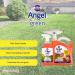 Nilco Angel Green - Artificial Grass Foam Cleaner & Trigger 1L - Buy Online on SooperMarket.com