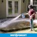 Wet & Forget Outdoor Stain Remover Xtreme Reach Hose End - 48oz - Buy Online on SooperMarket.com