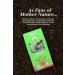 English Tea Shop Organic Green Tea & Pomegranate Tea (15 Pyramids) 30 g - Buy Online on SooperMarket.com
