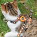 Cat Harness and Leash Escape Proof for Walking Travel Outdoor - Soft Nylon Adjustable Cute Cat Harness Leash Set with Airtag Holder for Small Large Cats Neck:7.6"-12" chest:10.6"-18" Orange - Buy Online on SooperMarket.com