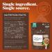 Navitas Organics Organic Cacao Powder - 24 oz (680 g) | Premium Superfood for Baking & Smoothies - Buy Online on SooperMarket.com