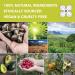 Buy Botanico Vida Omega Oil - Premium Quality Omega-3 for Health | International Shipping Available - Buy Online on SooperMarket.com