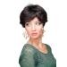 WIG ME UP Ladies Wig | Elegant Black Grey Mottled Short Wig - CM-37-280 for Classic Style - Buy Online on SooperMarket.com