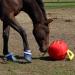 Signature Horsemen's Pride 14-Inch Horse Jolly Tug Blue one size - Buy Online on SooperMarket.com