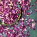 Edible 'Enchanted Forest' Pink Red and Burgundy Rose with Blue Cornflower Dried Flower Petal Mix - 50g - Food Grade - Culinary - Cake - Bake - Decoration (184) Cornflower 50g - Buy Online on SooperMarket.com
