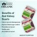 Blessfull Healing Organice RED Kidney Beans 1 lb (453 Gram) - Buy Online on SooperMarket.com