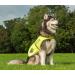 Yellow Reflective Dog Safety Vest with Leash Hole - High Visibility for Outdoor Activities | 4LegsFriend (X-Small) - Buy Online on SooperMarket.com