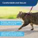 PetSafe Come with Me Kitty Harness & Bungee Leash - Dusty Rose/Burgundy - Perfect Fit for Small Cats - International Shipping Available - Buy Online on SooperMarket.com