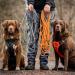 Buy Floxic Tow Lines for Dogs - 5m 10m 15m 20m Gray | Reflective Tether with Removable Hand Loop | Ideal for Puppy Training - International Shipping Available - Buy Online on SooperMarket.com