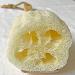 Natural Loofah Exfoliating Bath Brush | Body Luffa Loofa Sponge On a Stick | Scrubber with Wooden Handle for Men & Women | Bath Spa Shower (1 Pack) - Buy Online on SooperMarket.com