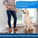 PetSafe Teach & Treat Remote Dog Trainer | Positive Reinforcement & Rewards | International Shipping Available - Buy Online on SooperMarket.com