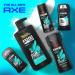 AXE 2-in-1 Shampoo & Conditioner Apollo - Clean & Strong Hair Sage & Cedarwood 100% Recycled Bottle 28 oz | International Shipping - Buy Online on SooperMarket.com
