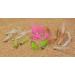 Crazy Charlie Saltwater Fly Fishing Flies - Choose from White, Pink, Crystal, Tan & Chartreuse - Hand Tied on Mustad Signature Duratin Fly Hooks Sizes #2, #4 & #6 20ct 5 Color Assortment - 2 Each on Hooks #2 & #6