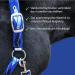 Premium Blue Horse Halter - Fur Lined Available in XFull Pony Cob Warmblood Sizes | Durable & Stylish - Buy Online on SooperMarket.com
