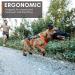 Buy Non-stop Dogwear FREEMOTION Harness 5.0 | Blue/Grey | Sports Dog Harness | Size 5 - Perfect for All Activities - Buy Online on SooperMarket.com