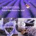 9 Bags Natural Dried Flowers Herbs Kit for DIY Soap and Candle Making - Rose Petals, Lavender, Jasmine, and More - Buy Online on SooperMarket.com