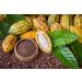 Organic Cacao Nibs 1 Pound - Unsweetened, Non-GMO, Kosher, Raw - Vegan Sirtfood Superfood - Bulk Cacao Nibs (Pack of 1) - Buy Online on SooperMarket.com