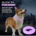 Dog Repellent Treatment Dog Repellent Collars Adjustable Small-Medium-Large Dog Repellent Collar Natural Repellent Collar for Dogs Waterproof Reflective Dog Repellent (Single Pack Purple) Single Pack Dog Purple - Buy Online on SooperMarket.com