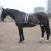 Shires Lunging Aid One Size Black - Buy Online on SooperMarket.com