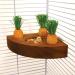 Rosewood 19260 Carrot Toy 'n' Treat Holder for Small Animals - Transparent Single - Buy Online on SooperMarket.com