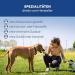 Schwenner-Short Beef's Head for Dogs - 2500g Dried Dental Dog Snacks | Quality Pet Food & Care - Buy Online on SooperMarket.com