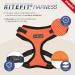 Puppia Ritefit Dog Harness for Small to Medium Dogs - Adjustable Soft & Versatile - Atani Train Dishes for Dogs Royal Blue XL - Buy Online on SooperMarket.com