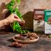 Maxine's Heavenly Mint Chocolate Chunk Cookies | Vegan & Gluten Free | Sweetened with Coconut Sugar & Dates | Low Sugar & Dairy Free | 7.2 oz (2 pack) - Buy Online on SooperMarket.com