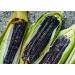 Organic Blue Corn Kernels 3 lbs - Non-GMO Vegan Bulk Cereal Grain with Vitamin B6 & Phosphorus, Ideal for Grinding, Stews, Casseroles & Soups - Buy Online on SooperMarket.com
