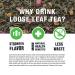 Tiesta Tea Fruity Paradise - Loose Leaf Strawberry Pineapple Green Tea | 1.6 oz for Hot & Iced | Medium Caffeine (25 Cups) - Buy Online on SooperMarket.com