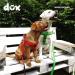 DDOXX Air Mesh Step-In Dog Harness - Adjustable XS Puppy Harness for All Sizes | Comfortable & Breathable (Orange 1.5 x 32-44 cm) - Buy Online on SooperMarket.com