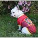 CYP Brands Spanish National Team Dog T-Shirt - Size M Red | International Shipping Available - Buy Online on SooperMarket.com