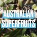 SOS Hair Mask with Australian Jojoba Seed Oil & Superfoods 450ml - Vegan, Supercharged Moisture for Hair Rescue - Buy Online on SooperMarket.com