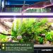VORESTIC Aquarium Tools Extra Long Tweezers Set 48cm Reptile Feeding Tongs - Buy Online on SooperMarket.com